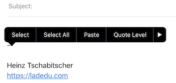 Select "Paste" to insert the image in your email and signature