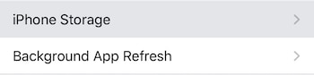 Select "iPhone Storage"