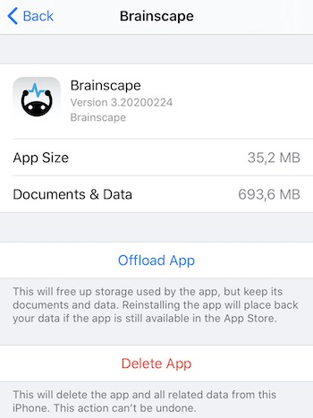 Tap an app to find out more about its storage use on iPhone