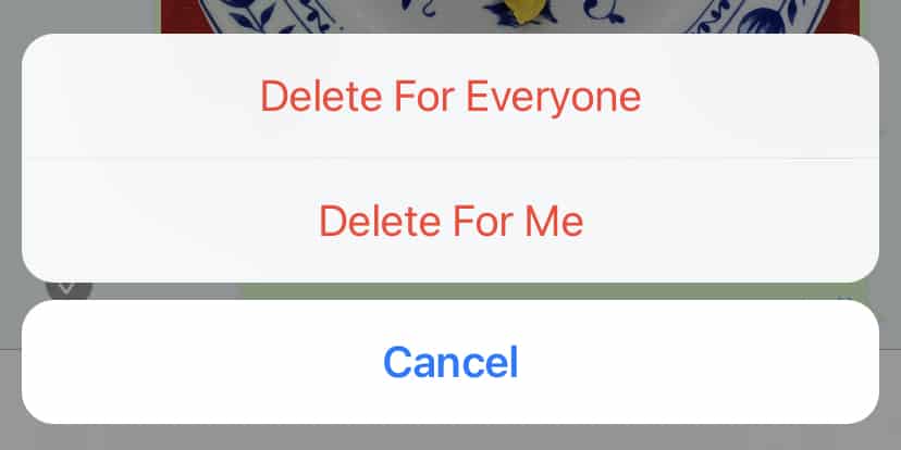 Tap "Delete For Everyone"