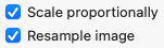 Check “Scale proportionally” and “Resample image”