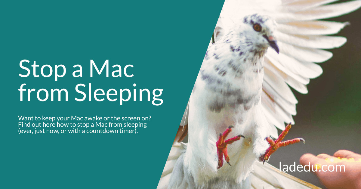 Stop a Mac from Sleeping