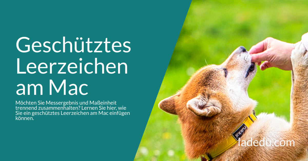 Geschütztes Leerzeichen am Mac