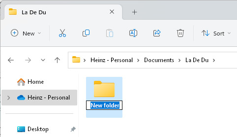 Name a new folder on Windows 11