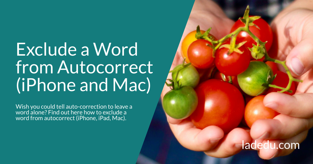 How to Exclude a Word from Autocorrect (iPhone and Mac)