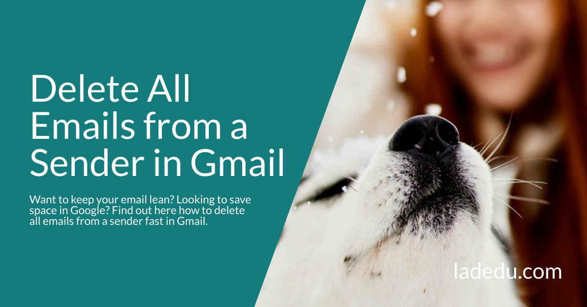 How to Delete All Emails from a Sender in Gmail