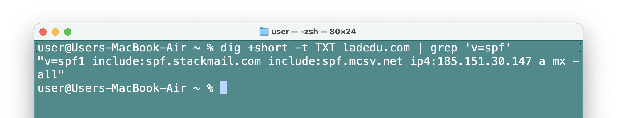 Checking SPF records for a domain on a Mac