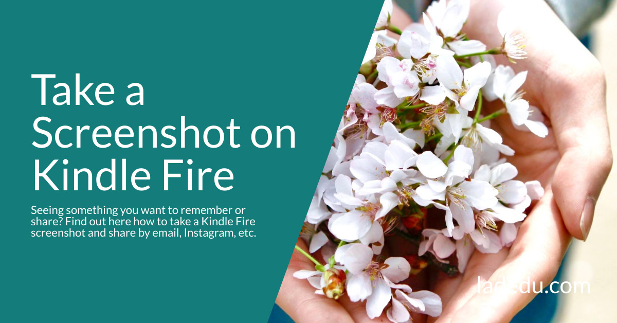 How to Take a Screenshot on Kindle Fire La De Du