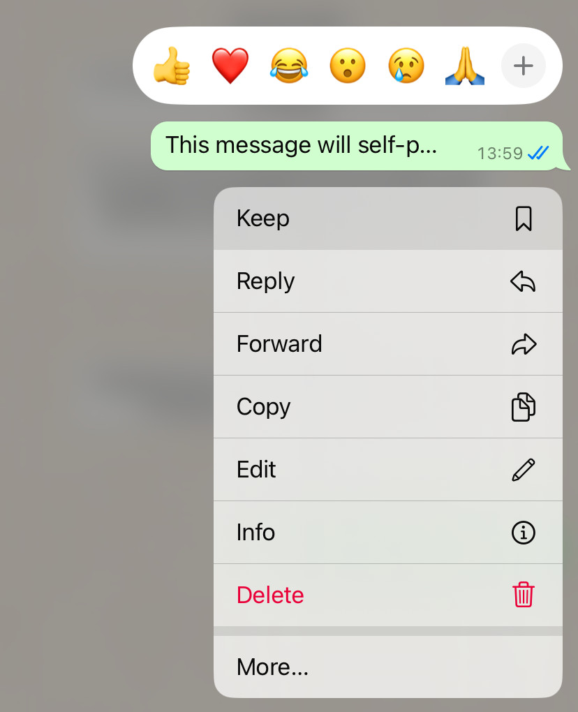 Prevent a self-destructing message in WhatsApp from disappearing