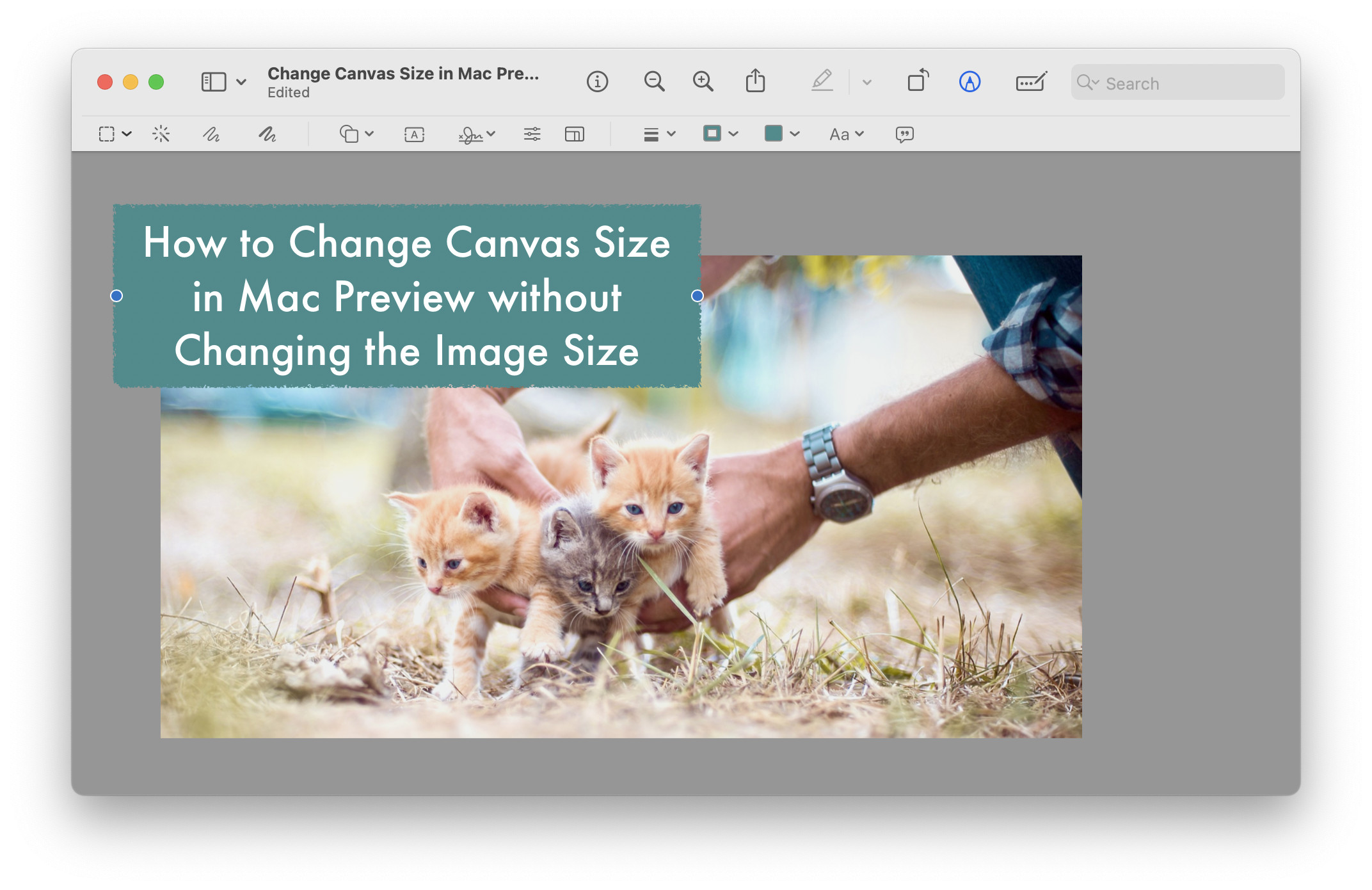 Add new elements beyond the original image borders on the expanded canvas in Preview