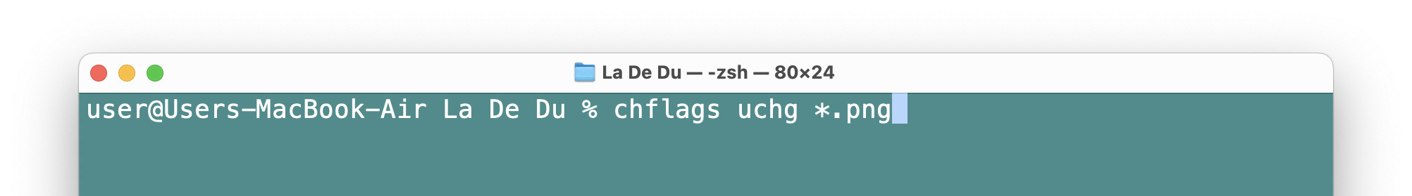 Locking files using chflags on the Mac Terminal