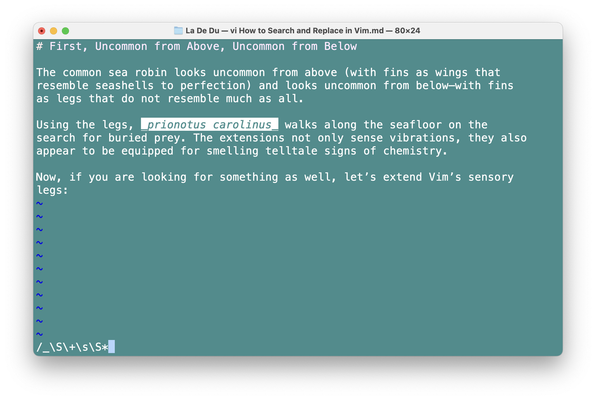 Searching and finding text in Vim