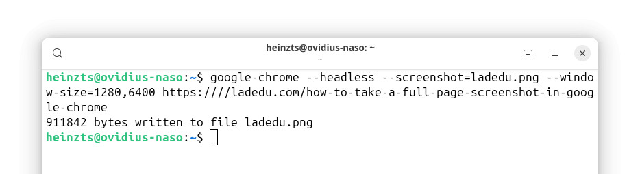 A screenshot from the Linux command line using Google Chrome