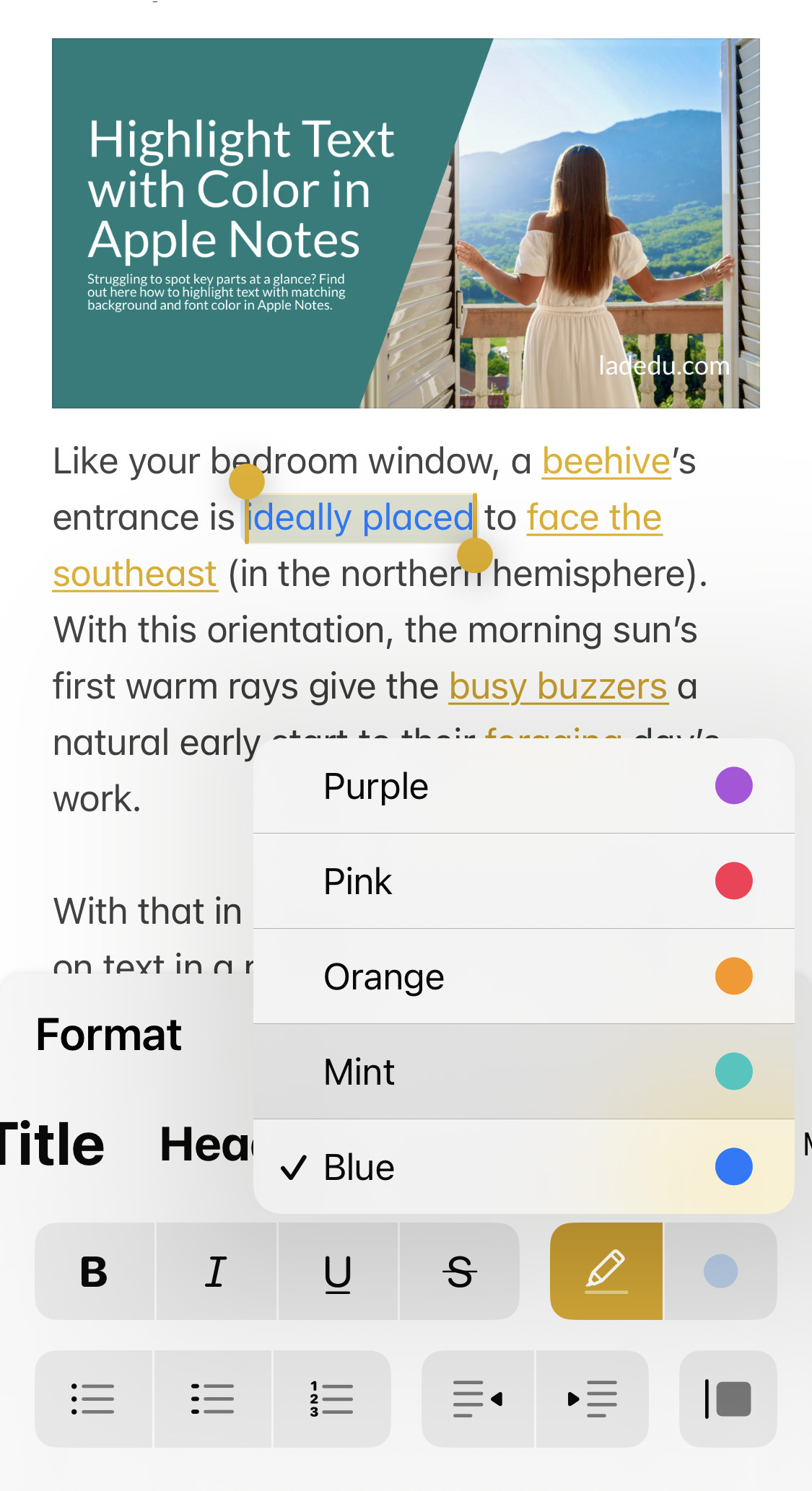 Choosing the text highlighting color in Apple Notes for iOS