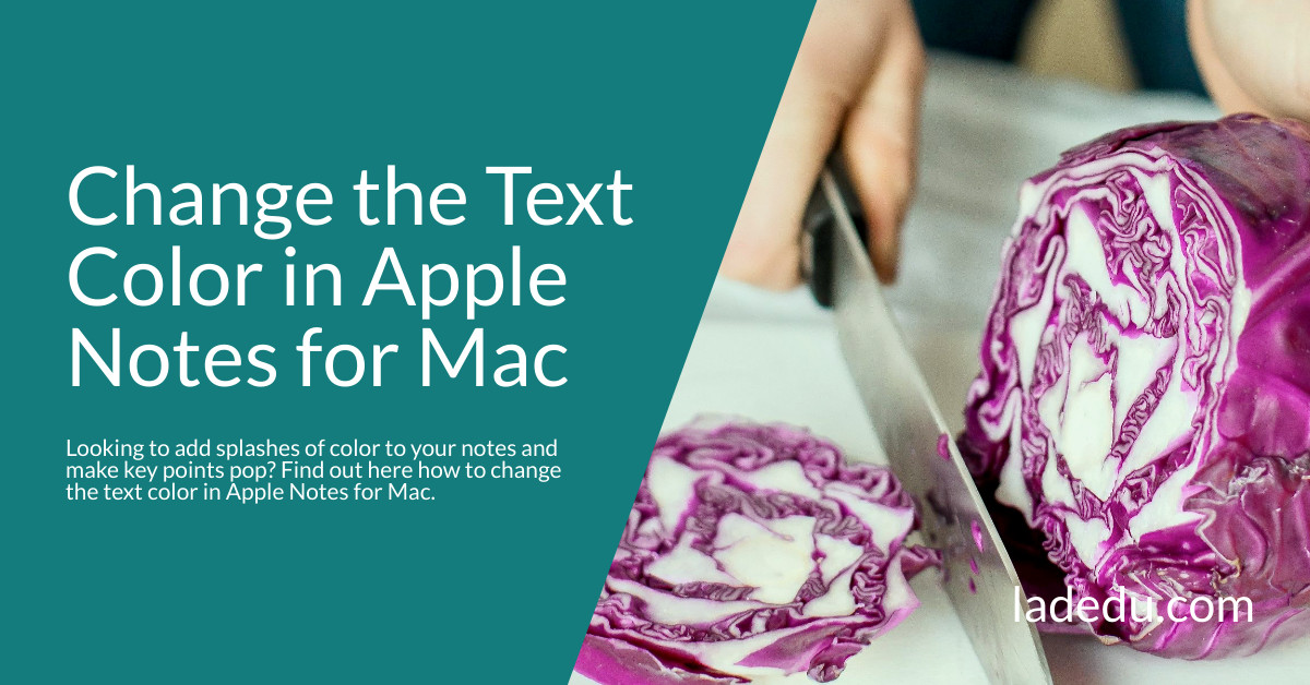 How to Change the Text Color in Apple Notes for Mac