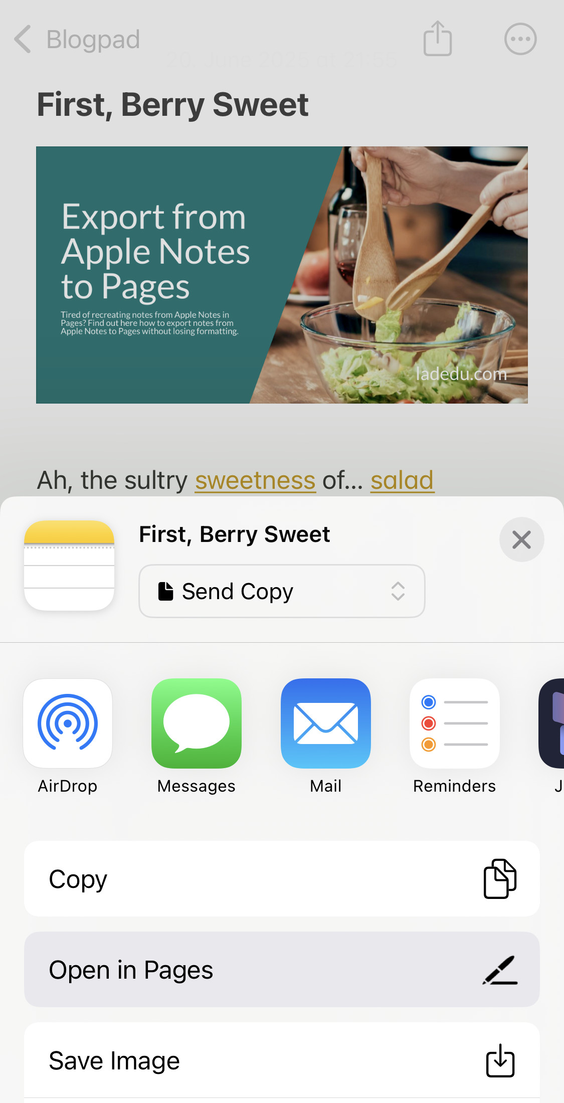 Select “Open in Pages” to export a note to Pages on an iPhone