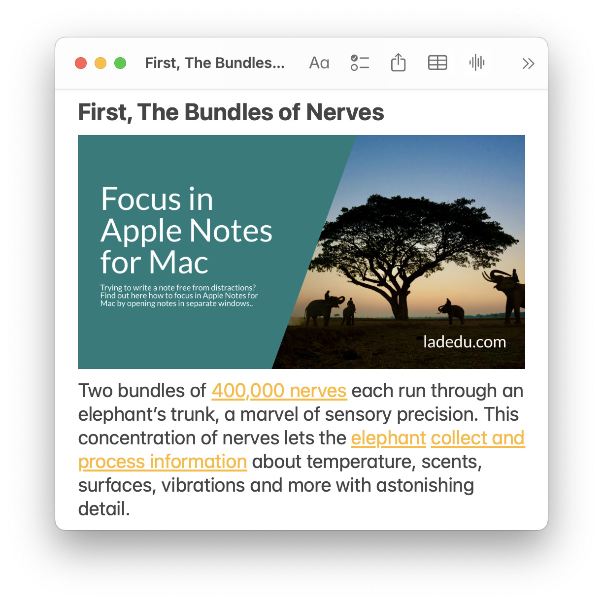 A note from Apple Notes displaying in its own window on a Mac