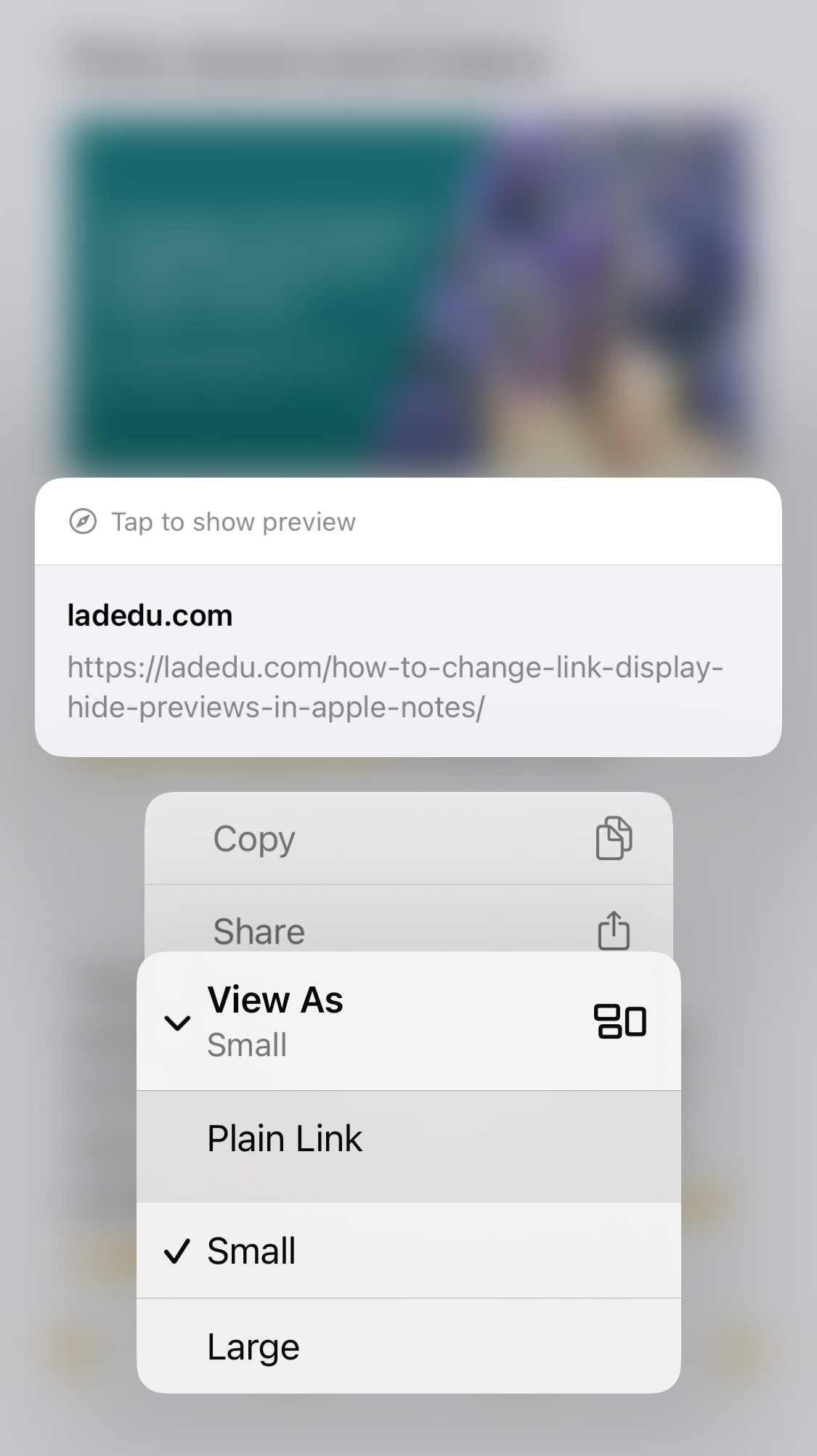 Selecting “View As | Plain Link” to hide the preview for a link in Apple Notes for iPhone