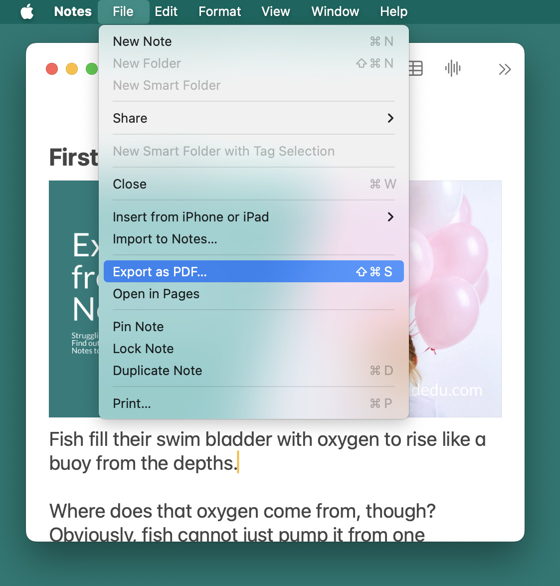 Use “Export as PDF…” to save a note as a PDF file in Apple Notes for Mac