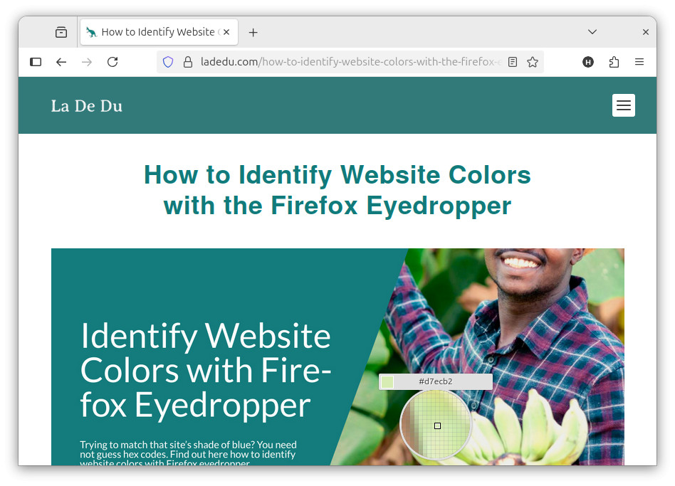 Using the eyedropper to identify the color of a pixel on a website