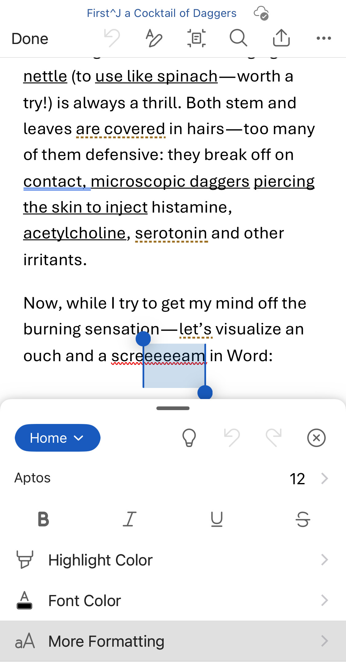 Select “More Formatting” on the “Home” tab of the ribbon in Word for iOS