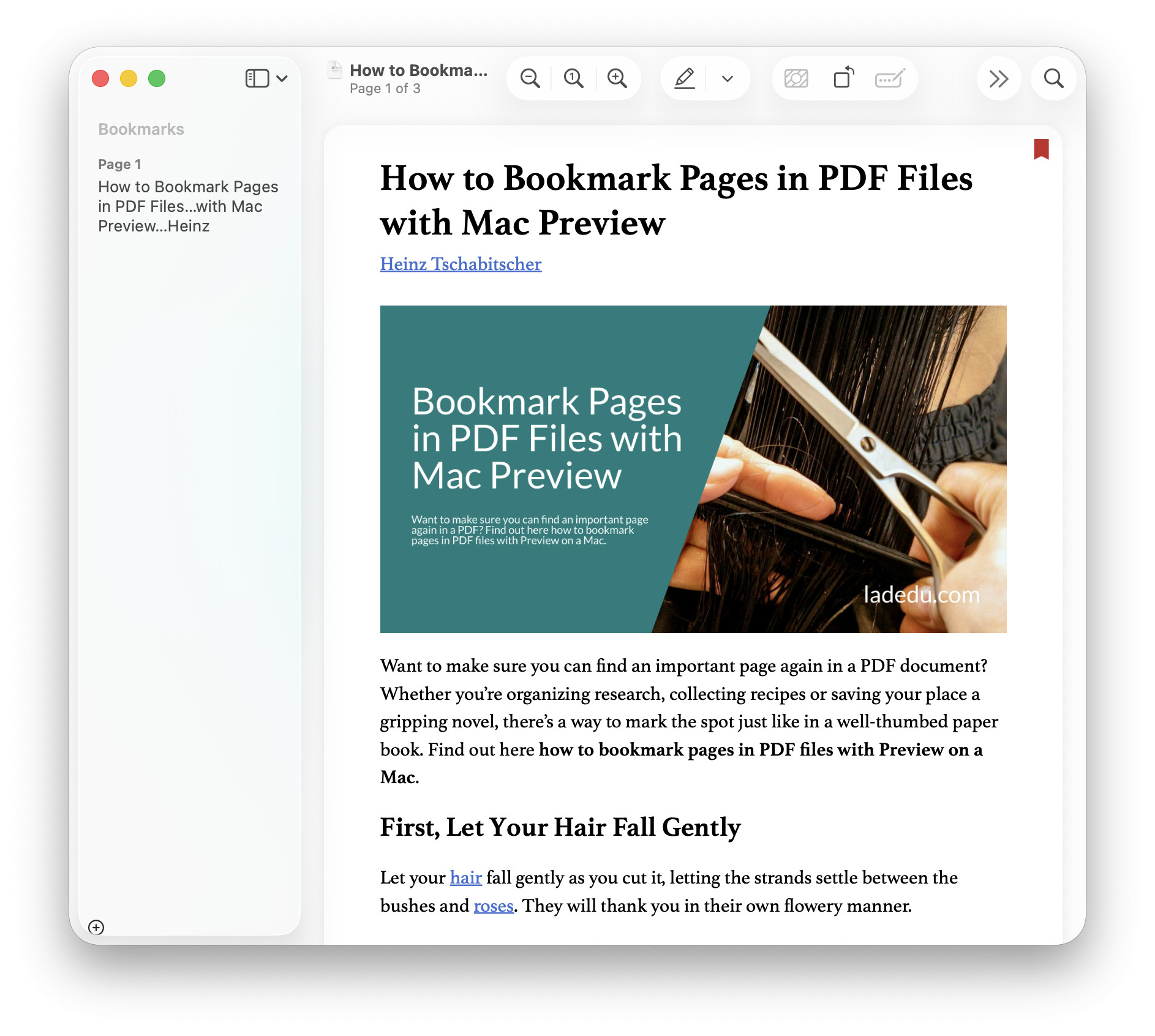 Adding a bookmark to a PDF document in Preview on a Mac