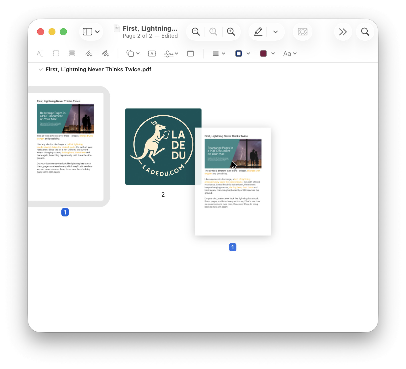 Drag and drop pages on the Preview contact sheet to rearrange them