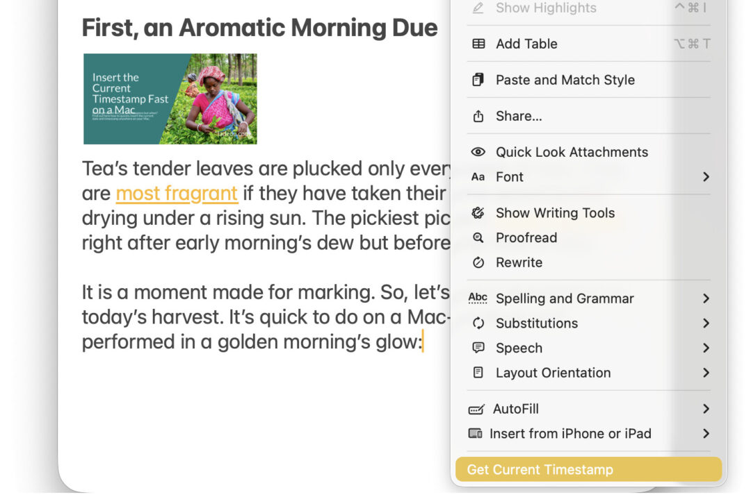 Inserting a timestamp using a quick action on a Mac