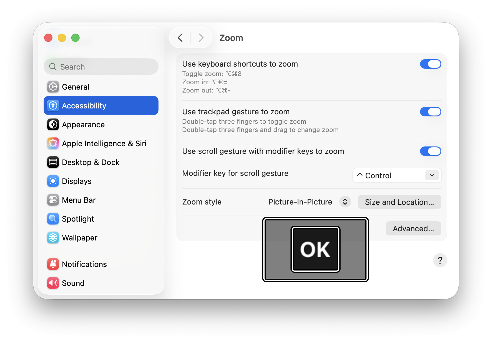 Setting up a magnifier iin macOS including its size and position